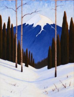 Snow-covered mountain with tall, dark trees in the foreground under a clear blue sky.