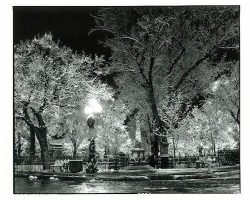 Black and white photo of a snowy park at night with illuminated street lamps and frost-covered trees.
