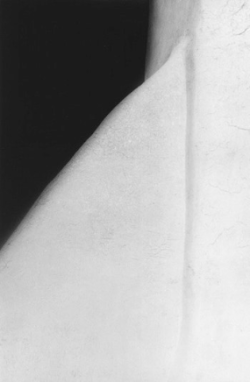 Close-up black-and-white photo of a curved, textured surface with contrasting light and shadow areas.