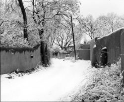 A narrow, snow-covered path curves between adobe walls and leafless trees in a quiet winter scene.
