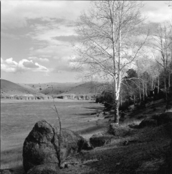 Leafless trees and large rocks stand beside a grassy field under a partly cloudy sky in a hilly landscape.