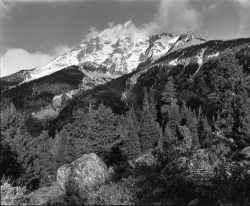 Snow-capped mountain rises above a dense forest with rocky terrain in the foreground under a partly cloudy sky.