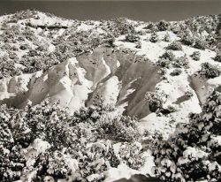 Snow-covered hills and shrubs under a clear sky, with shadows highlighting the contours of the landscape.