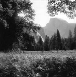 Black and white photo of a forest clearing with trees and a distant granite mountain under a partly cloudy sky.