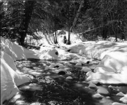 A stream flows through a snow-covered forest with rocks and trees visible along the banks.
