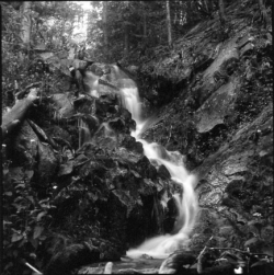 A black and white photo of a small waterfall cascading over rocks in a forested area.