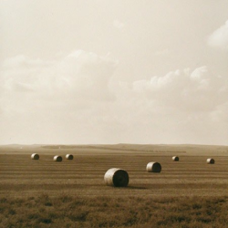 Large round hay bales scattered across a flat, open field under a partly cloudy sky.