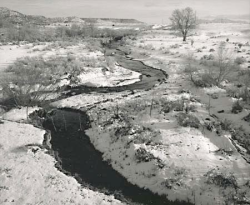A winding creek flows through a snowy landscape with sparse trees and distant hills under a cloudy sky.