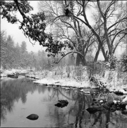 A calm river flows through a snowy landscape with bare trees and snow-covered banks under an overcast sky.