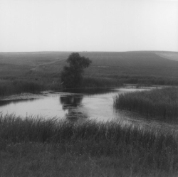 Black and white photo of a calm river winding through grassy fields with a single tree near the water.