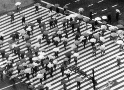 Aerial view of many people carrying umbrellas while crossing a large striped crosswalk on a rainy day.