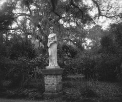 A marble statue of a woman stands on a brick pedestal in a wooded garden area with trees and shrubs.