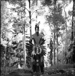 A person wearing traditional feathered regalia stands outdoors in a forest, facing away from the camera.