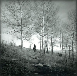 A person on horseback rides up a dirt path surrounded by leafless trees in a grassy landscape.