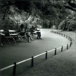 Two people sit on separate benches along a curved path in a park, surrounded by trees and greenery.
