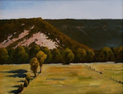 A sunlit grassy field with scattered trees in front of a tree-covered hill under a clear sky.