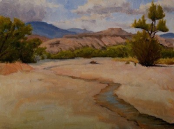 A small stream runs through a sandy desert landscape with distant mountains and scattered green shrubs under a cloudy sky.