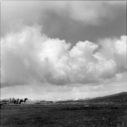 Horse standing near a fence on open grassland under a sky filled with large, billowing clouds.