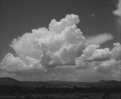 Large cumulus clouds rise above a distant mountain range under a bright sky, with trees and shrubs in the foreground.