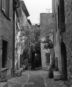 Narrow cobblestone alleyway lined with old stone buildings and shuttered windows in a historic village.