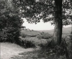 Black and white photo of a tree framing a distant villa on a hill, surrounded by fields and hills under a clear sky.