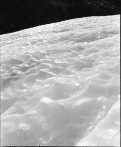 Close-up view of a glacier's surface, showing textured, uneven ice and snow under natural light.