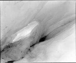 A close-up view of an ice crevasse with smooth, contoured surfaces and contrasting light and shadow.