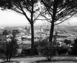 Black-and-white photo of a hill town with tile roofs, trees in the foreground, and distant countryside in the background.