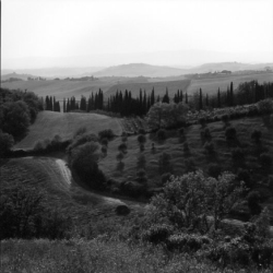 Black and white landscape showing rolling hills, scattered trees, and a winding path under a hazy sky.